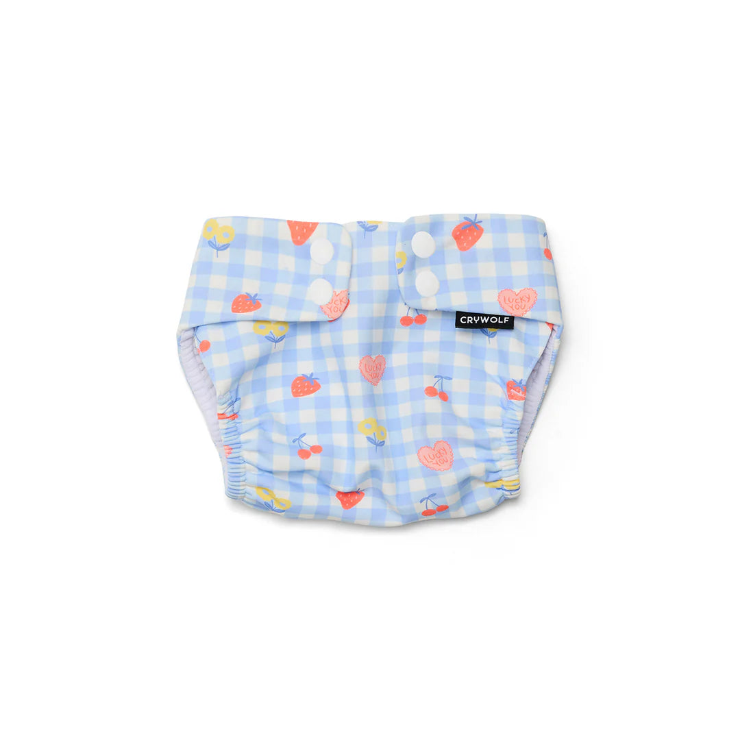 Reusable Swim Nappy - Lucky Picnic