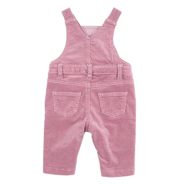 Flossy Embroidered Cord Overalls