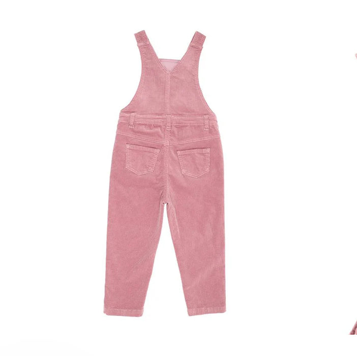 Flossy Embroidered Cord Overalls