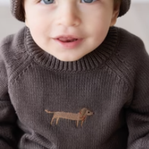 Ethan Jumper - Wolf Basil