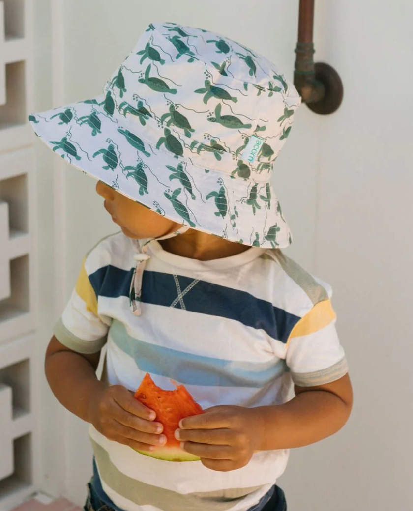 Turtles Wide Brim Bucket Hat - Natural and Green