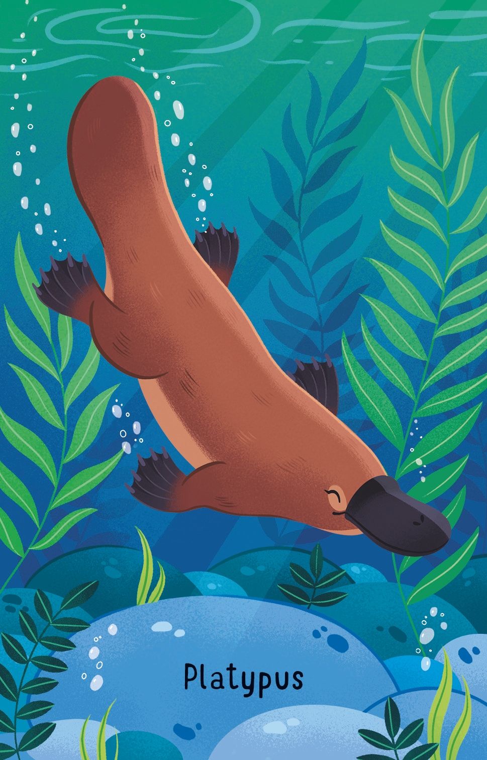 Australian Animals Snap Card Game