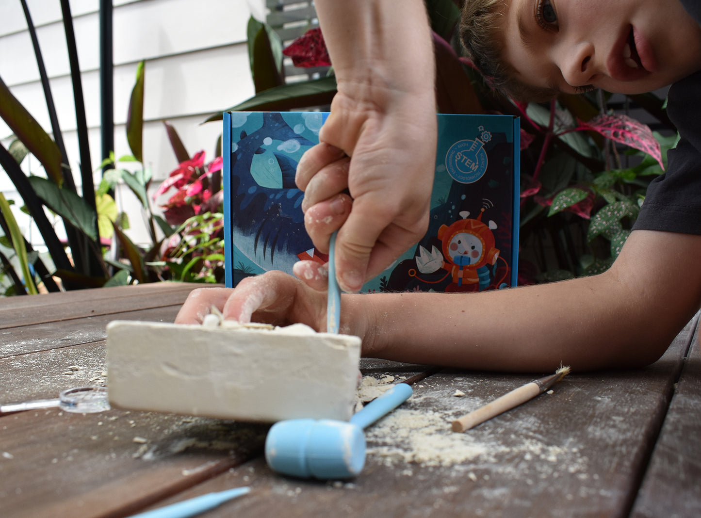 Shark Tooth Excavation Kit