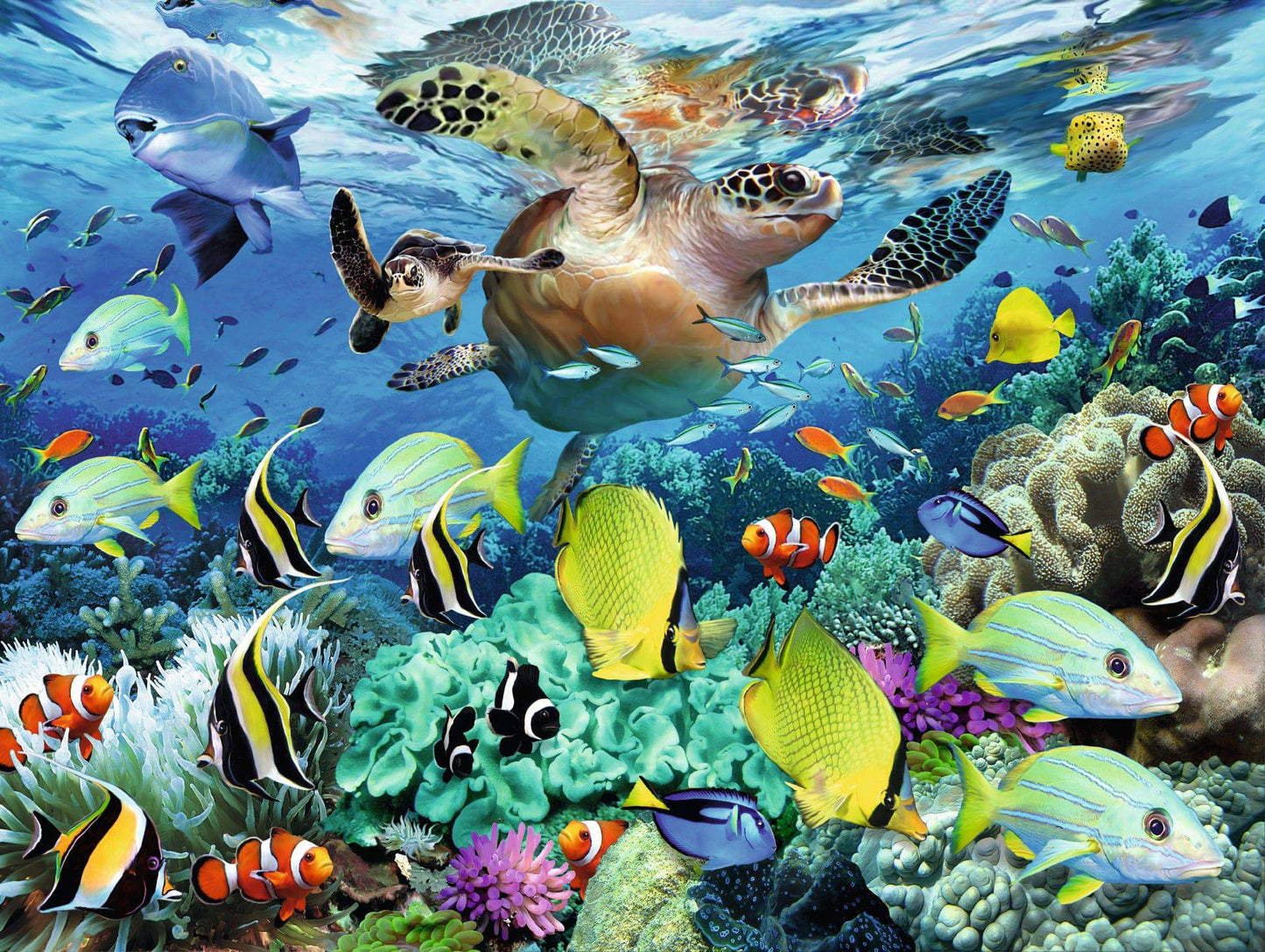Puzzle - Underwater Paradise