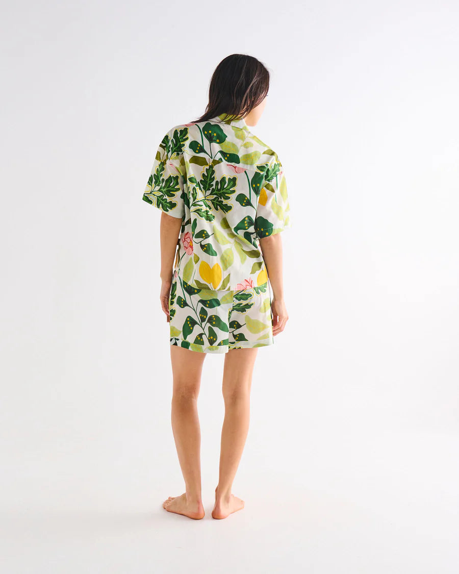 Wander Adult Organic Cotton Short Sleeve Shirt and Short Pj Set