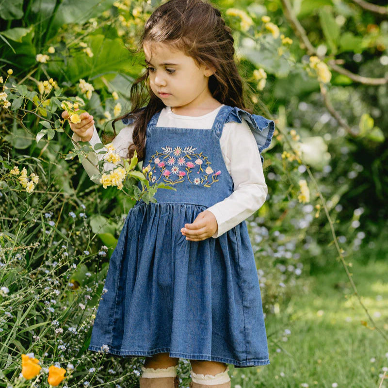 Wild Horses Denim Dress