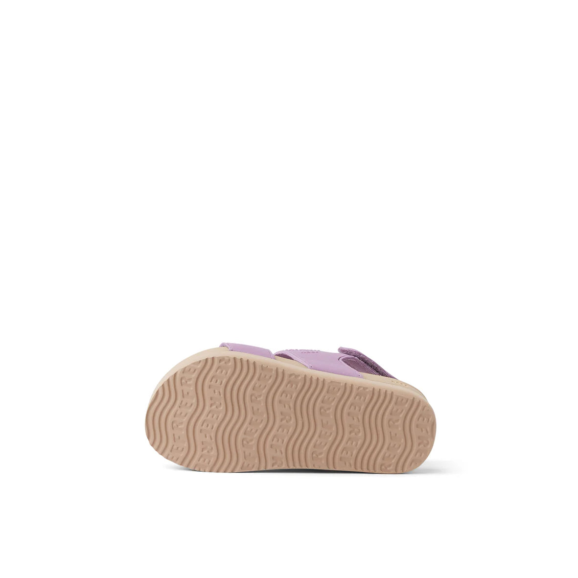 Little Water Vista - Lavender