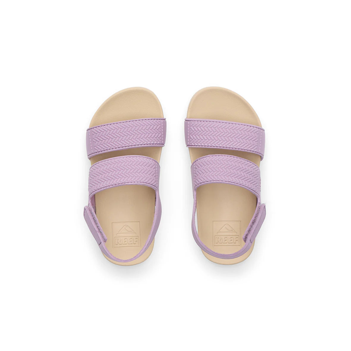 Little Water Vista - Lavender