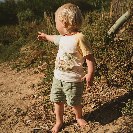 Sage Green Shorts