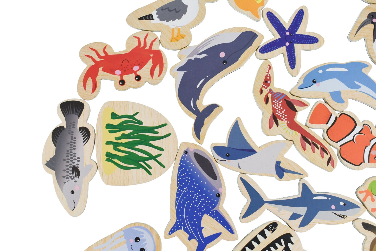 Fridge Friends Magnetic Australian Sea Animals - 25pcs