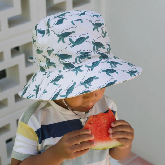 Turtles Wide Brim Bucket Hat - Natural and Green