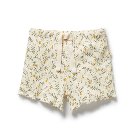 Lemon Leaf Organic Short