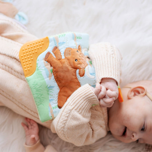 Mary Meyer Crinkle Teether - Hetty Highland Cow