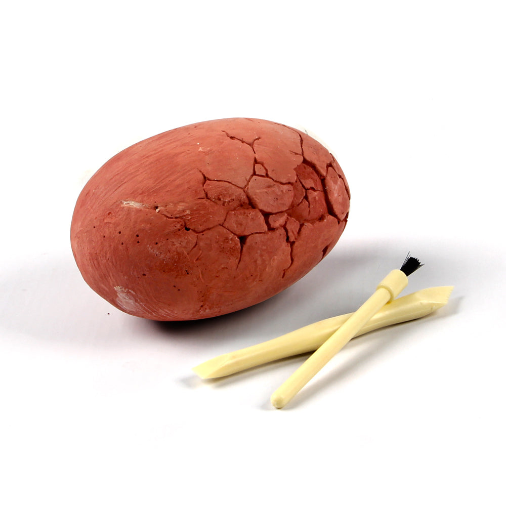 Dino Egg Excavation Kit