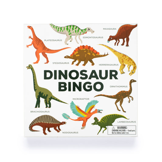 Dinosaur Bingo Game