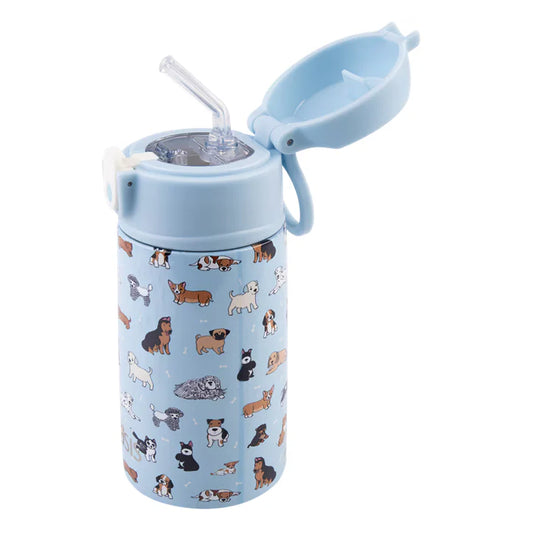 Kids Insulated Drink Bottle With Straw