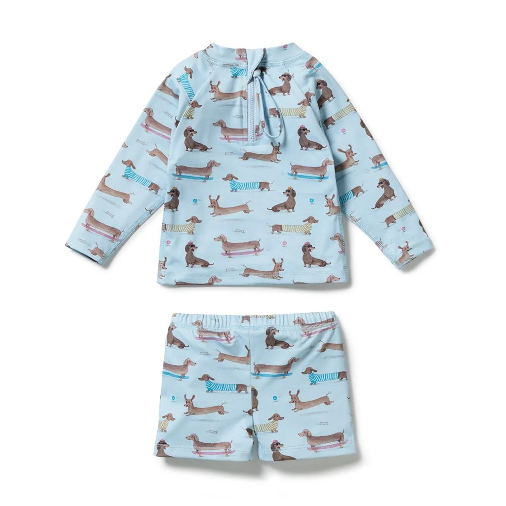 Dashing Rashie Swim Set