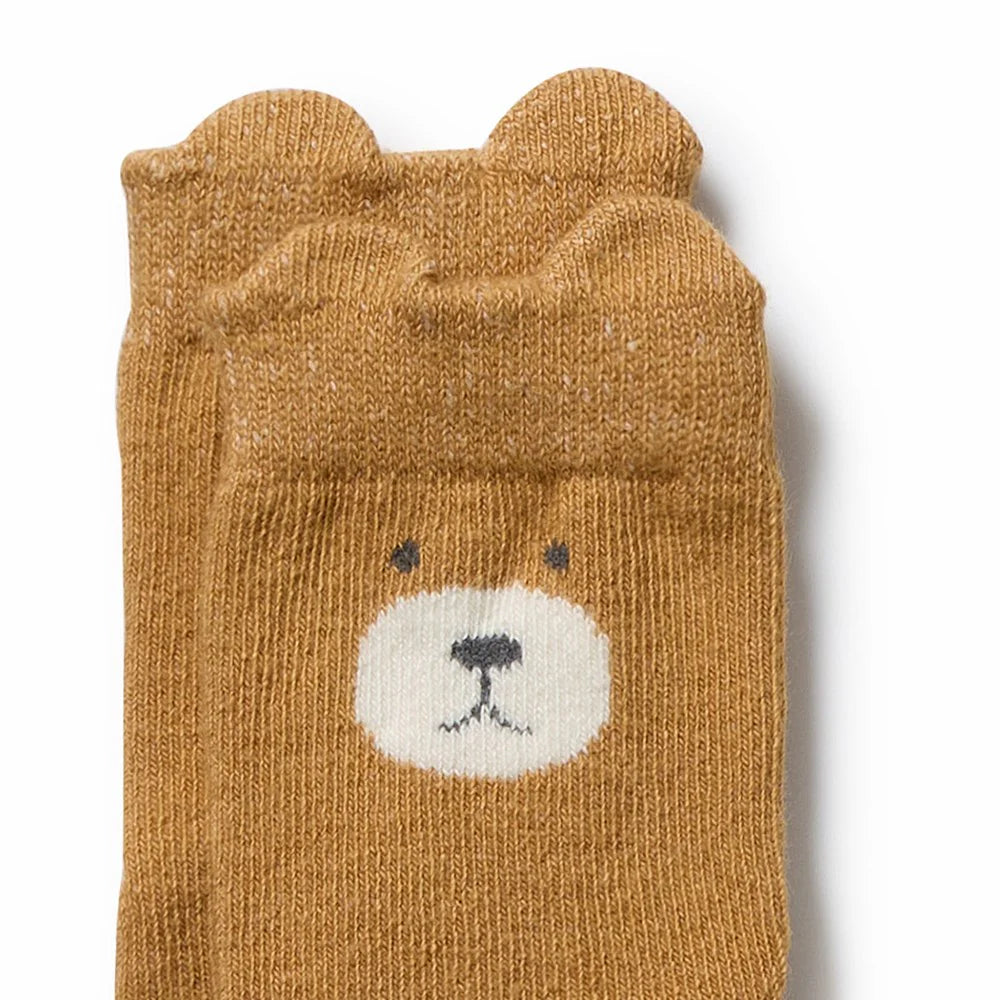 4 Pack Organic Baby Socks - Ochre, Twig, Buttermilk, Nutmeg