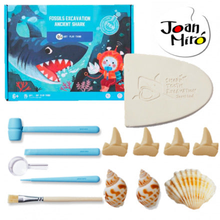 Shark Tooth Excavation Kit
