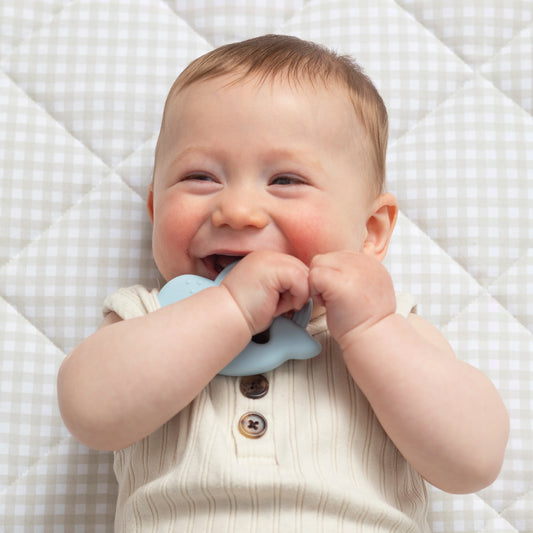2pk Silicone Teether - Whale And Cloud